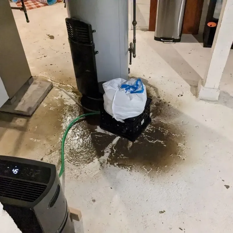 Sewage Backup Cleanup Service in Le Grand, CA